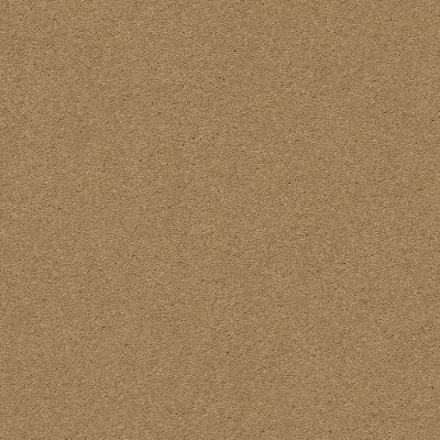 Anderson Tuftex Second Glance Barley 00227_ZZ058