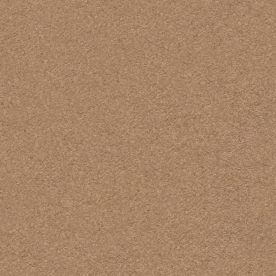 Anderson Tuftex Second Glance Desert View 00665_ZZ058