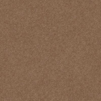 Anderson Tuftex Second Glance Mystic Brown 00775_ZZ058