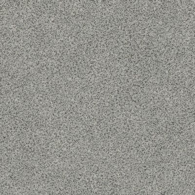 Anderson Tuftex Serenity Cove Chelsea Fog 00544_ZZ060