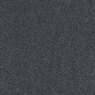 Anderson Tuftex Serenity Cove Chic Gray 00548_ZZ060