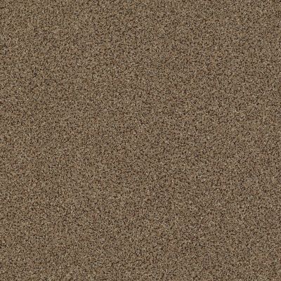 Anderson Tuftex Serenity Cove Mystic Brown 00775_ZZ060