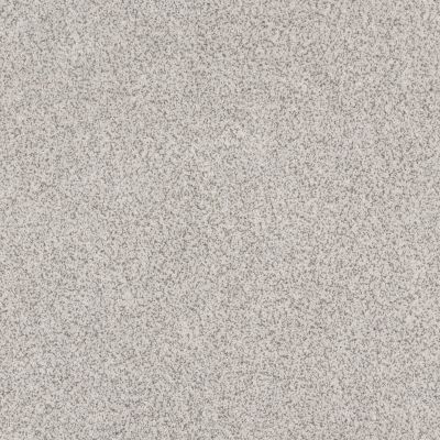 Anderson Tuftex Fair Isle Platinum 00552_ZZ061