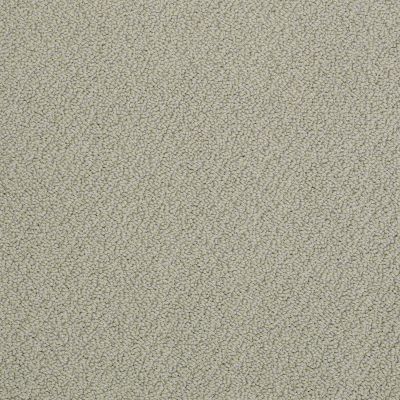 Anderson Tuftex American Home Fashions Personal Style Dusty Jade 00312_ZZA12