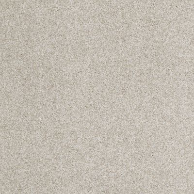 Anderson Tuftex American Home Fashions Belmont Oyster Shell 00152_ZZA14