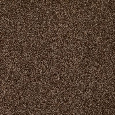 Anderson Tuftex American Home Fashions Belmont Truffle 00738_ZZA14