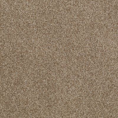 Anderson Tuftex American Home Fashions Belmont Cuddly Bear 00774_ZZA14