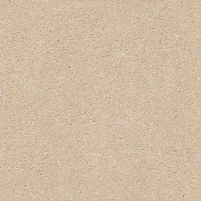 Anderson Tuftex Builder Style Haven Morning Light 00113_ZZB01