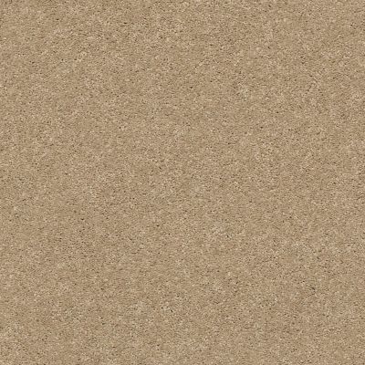 Anderson Tuftex Builder Style Haven Coronado 00115_ZZB01