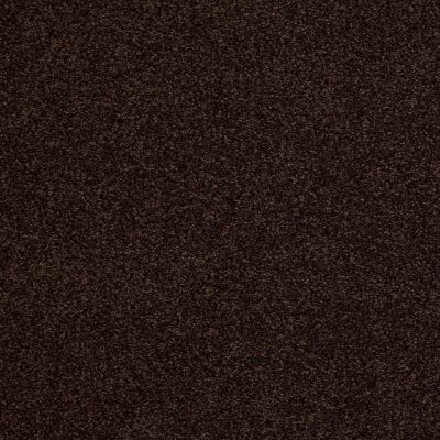 Anderson Tuftex Builder Patina Chocolate Drop 00777_ZZB14