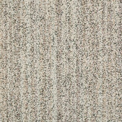 Anderson Tuftex Builder Cedar Cove Winter Oak 00123_ZZB65