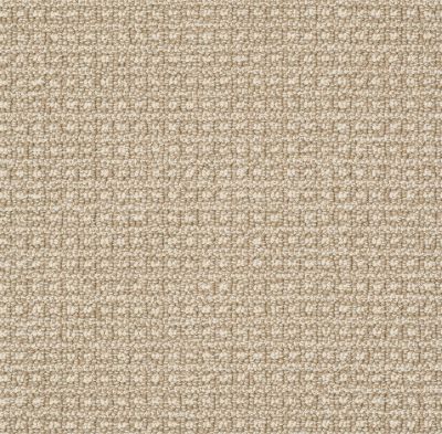 Anderson Tuftex Builder Tail Wag Sesame 00213_ZZB74