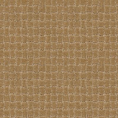 Anderson Tuftex Builder Merle Golden Straw 00224_ZZB81