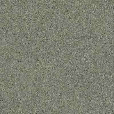 Anderson Tuftex Art Form Pine Forest 00314_ZZE01