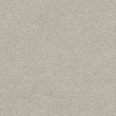 Anderson Tuftex Art Form Gentle Gray 00541_ZZE01