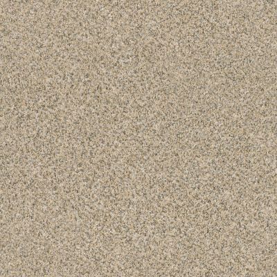 Anderson Tuftex AHF Builder Select Smart Troy Sand Dune 00223_ZZL16