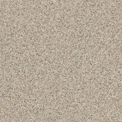 Anderson Tuftex AHF Builder Select Peak Performer Gray Morn 00552_ZZL46