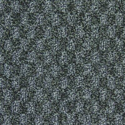 Richmond Carpet Serenade Salt And Pepper RIC2603SERE