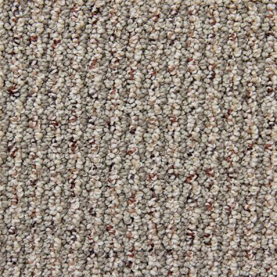 Richmond Carpet Cashmere Stylish Chic RIC2901CASH