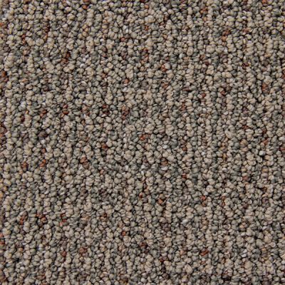 Richmond Carpet Cashmere Runway Style RIC2903CASH