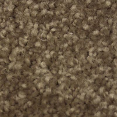 Richmond Carpet Satin Elegance Dew Drop RIC3171SAEL
