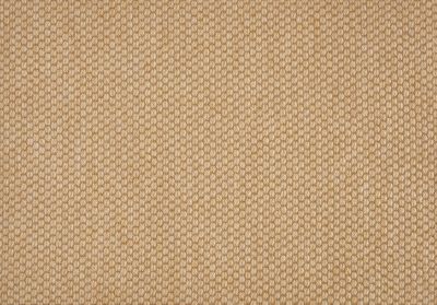 Stanton Cabo II Maize CABII-33161-13-2-WV