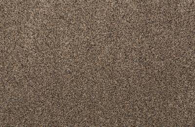 Stanton Quest Plush I Coco QSTP1-39058-13-2-SB