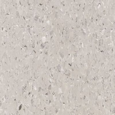 Tarkett VCT II Pewter VCTII-509