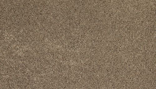 Mohawk Everstrand Soft Appeal Soft Tempo I Down Draft 3K30-796