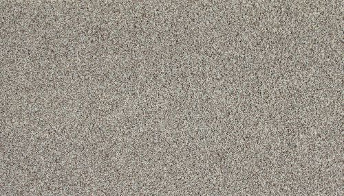 Mohawk Everstrand Soft Appeal Soft Tempo I Frozen Tundra 3K30-925