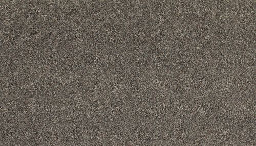 Mohawk Everstrand Soft Appeal Soft Tempo I Gravel Path 3K30-977