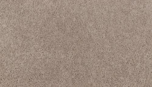 Mohawk Smartstrand Natural Purpose Orion 3M01-749