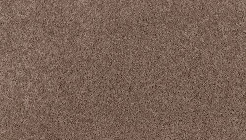 Mohawk Smartstrand Natural Purpose Tiberius 3M01-859