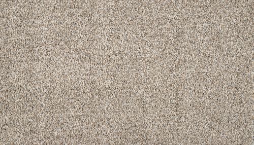 Mohawk Smartstrand Silk Luxuriant Surface Rococo 3M18-700