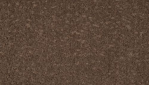 Mohawk Smartstrand Mineral Effects Sequoia 3M27-874