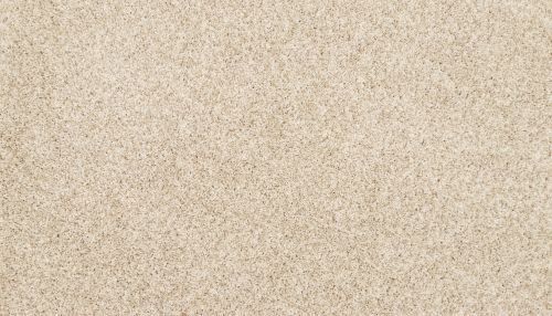 Mohawk Petpremier Diffurent Choice I Frosted Almond 3M41-702