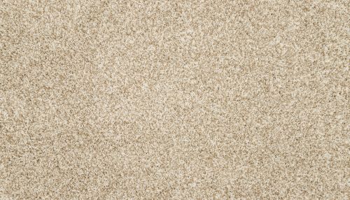 Mohawk Petpremier Diffurent Choice I Coconut 3M41-707