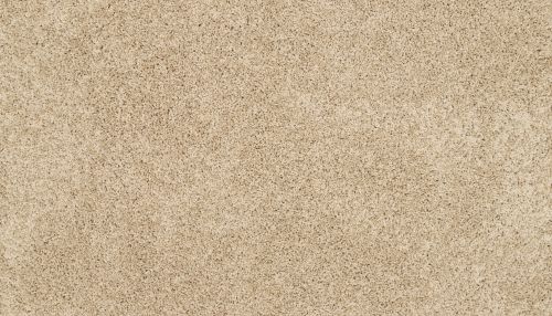 Mohawk Petpremier Diffurent Choice I Sandy Beach 3M41-737