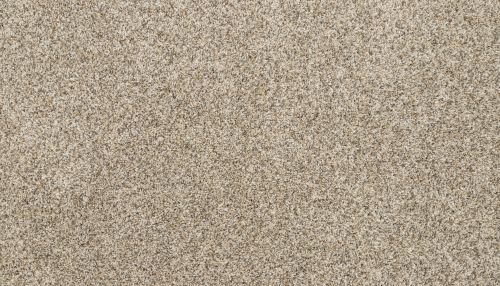 Mohawk Petpremier Diffurent Choice I Soapstone 3M41-837