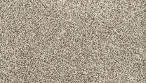 Mohawk Petpremier Diffurent Choice I North Winds 3M41-938