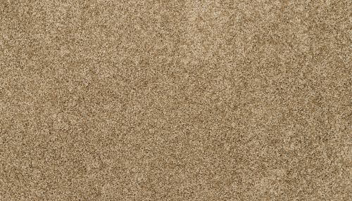 Mohawk Petpremier Diffurent Choice III Parchment 3M43-787