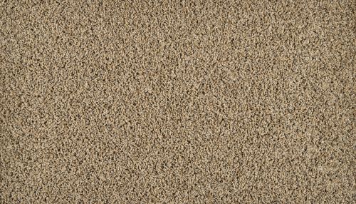 Mohawk Smartstrand Exhilarating Boulder Beige 3N44-767