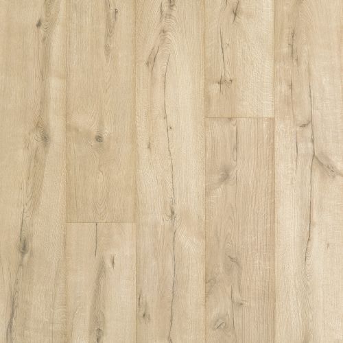 Aladdin Commercial Dynamic Composition Coastal Oak AH045-831