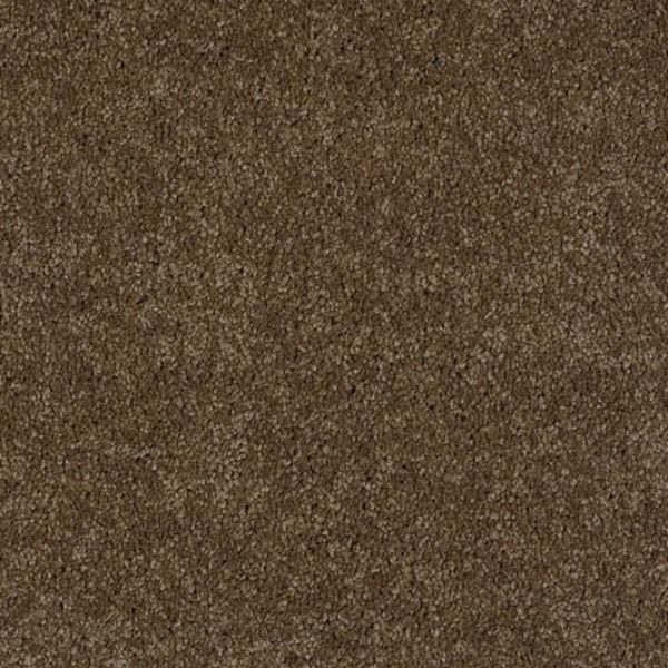 Tuftex Murphy Derby Brown Collection