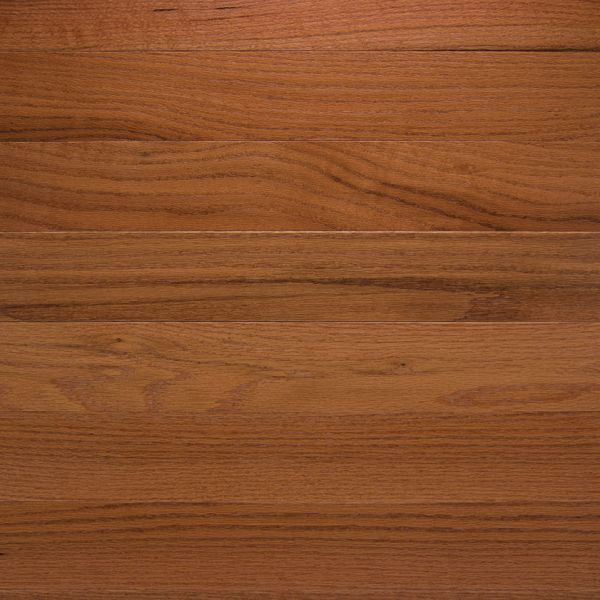 Somerset Hardwood Classic - Solid Butterscotch - 2 1/4" Collection