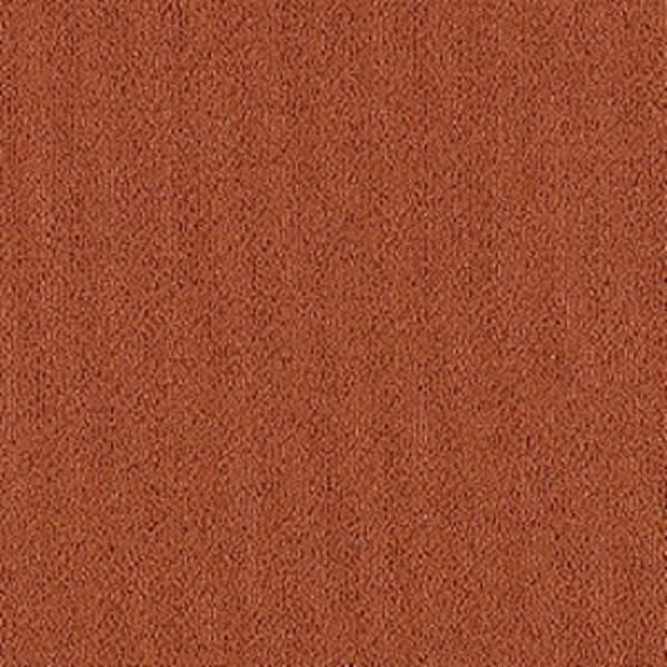 Aladdin Color Pop Cajun Spice Collection