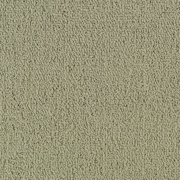 Philadelphia Color Accents 24x24 Light Taupe Collection