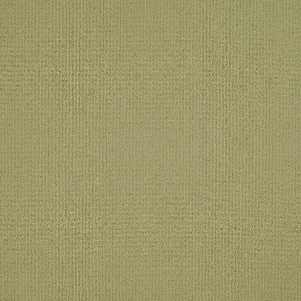 Philadelphia Color Accents 24x24 Fescue Collection