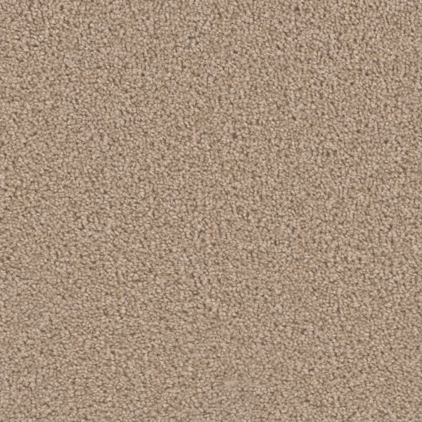 Dream Weaver Broadcast Plus Sandstone Collection