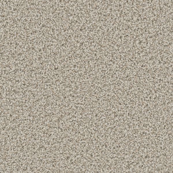 Dream Weaver Can't Miss Stucco Collection